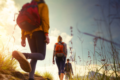 TREKKING NEL CILENTO